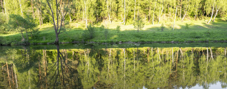 Гладь реки